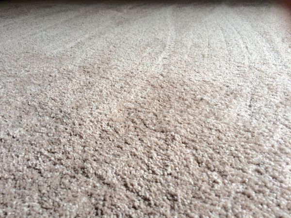 Plush Carpet Installation in Powhatan